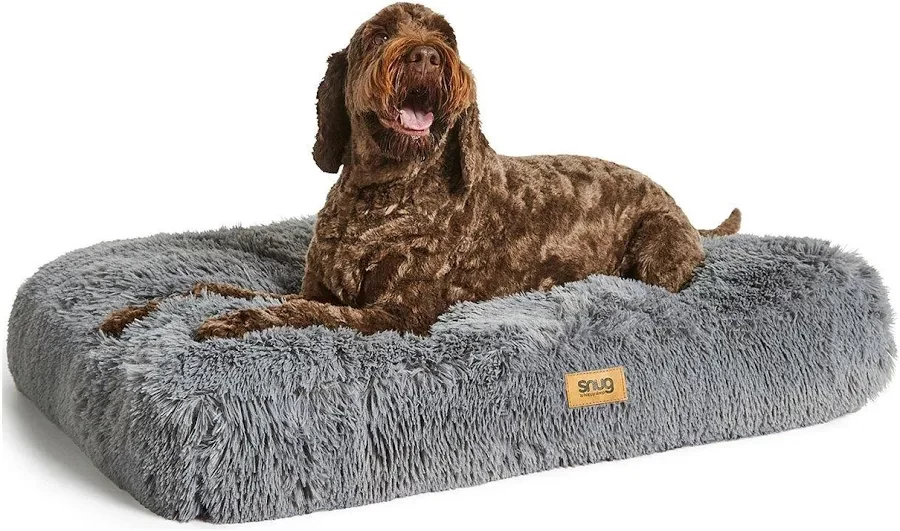 Pet Supplies